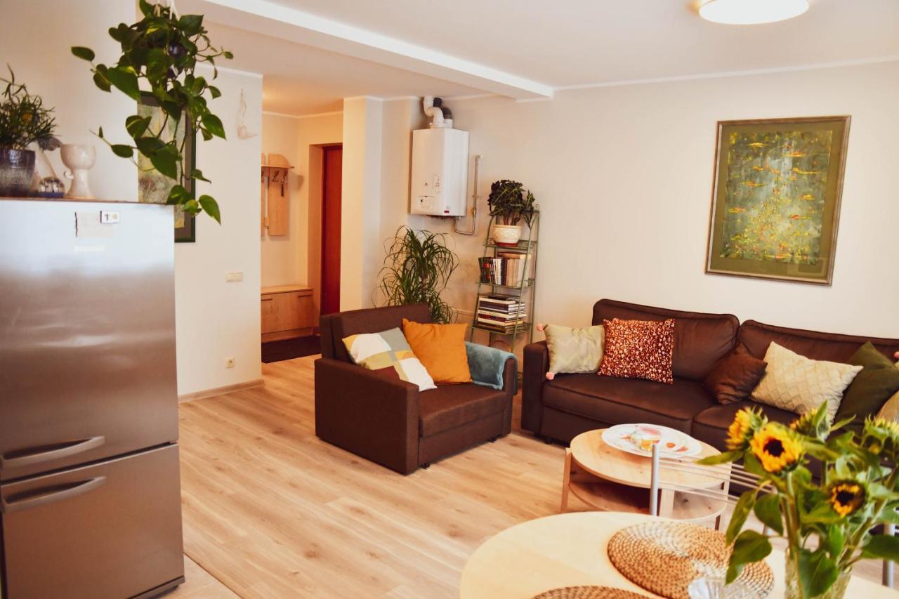 Central Park Apartment Birštonas Zewnętrze zdjęcie