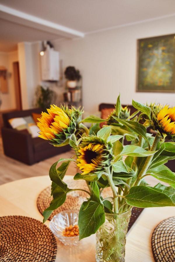 Central Park Apartment Birštonas Zewnętrze zdjęcie