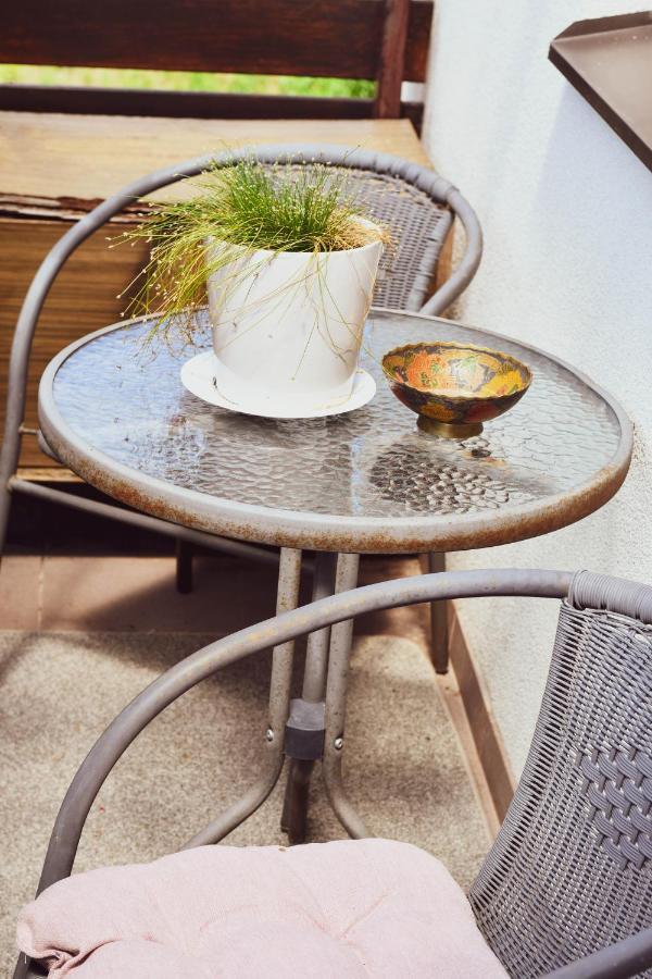 Central Park Apartment Birštonas Zewnętrze zdjęcie